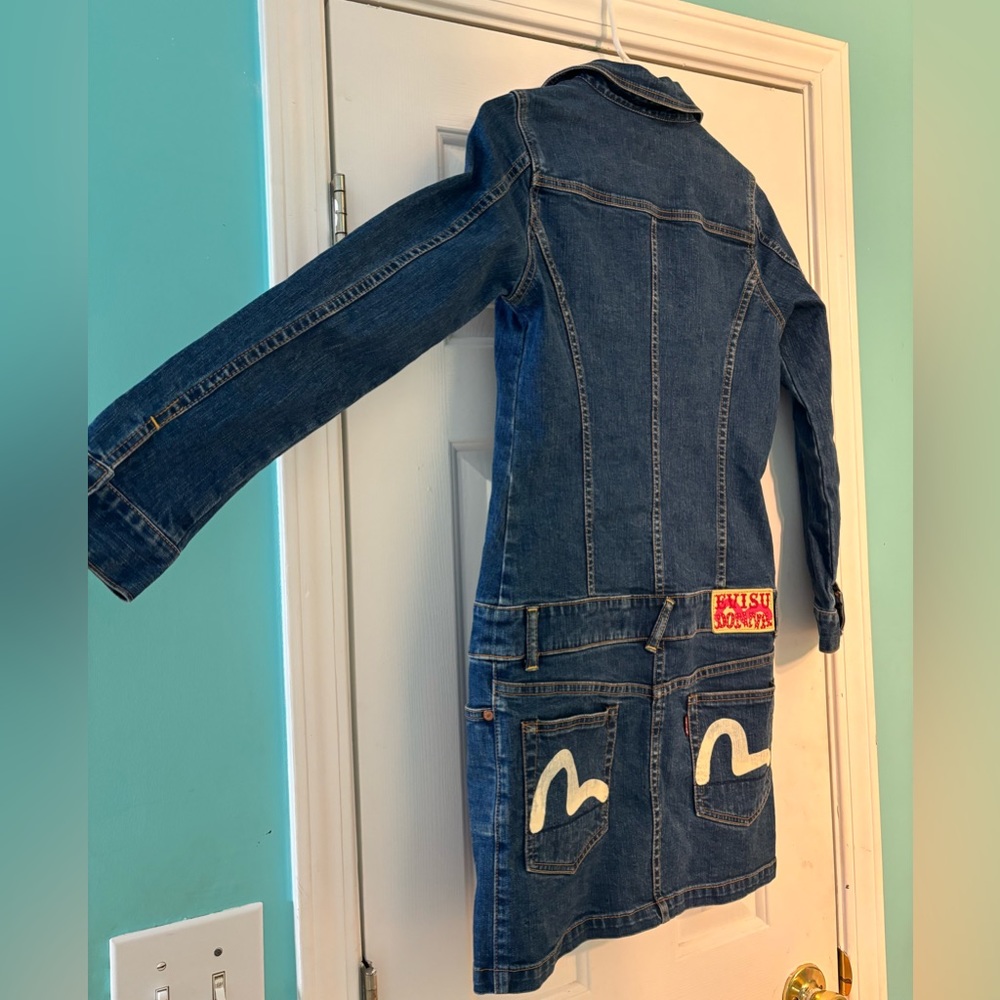 Evisu Dress